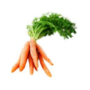 Mor&ouml;tter